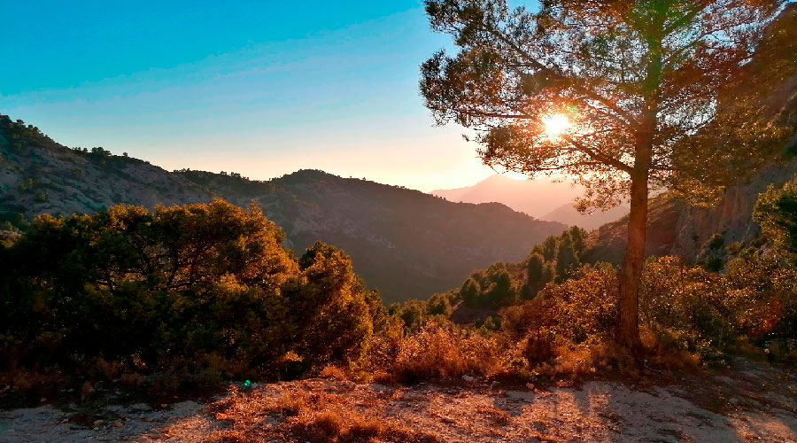 Polkujuoksua Espanjassa